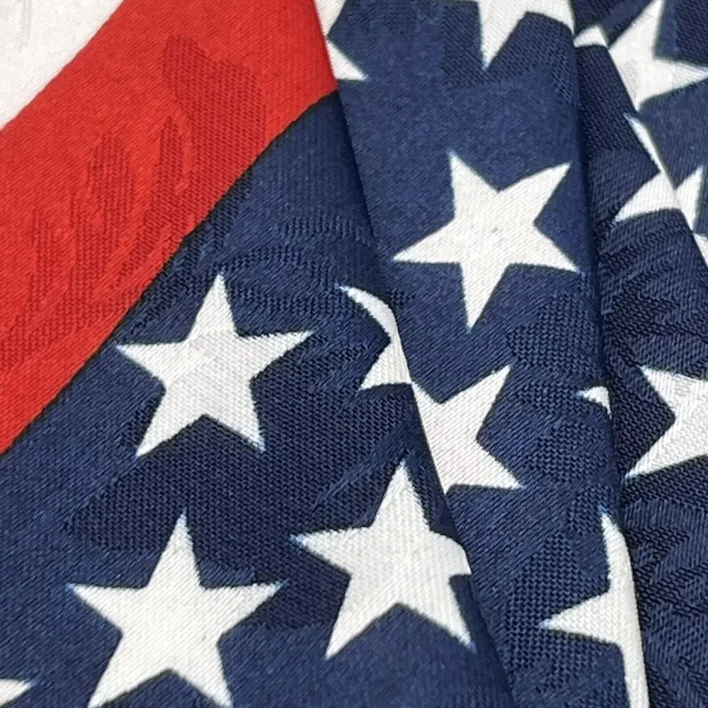 City One Mens‎ Patriotic Hand Made American Flag Tie Dadcore USA Election